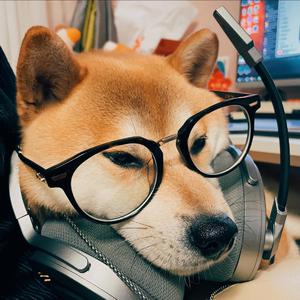 久爱视频www在线播放
